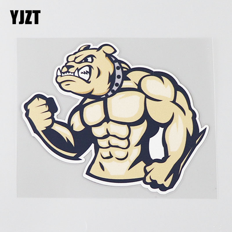 yjzt 创意肌肉狗狗个性遮盖划痕汽车贴纸车身改装防水 cs0707