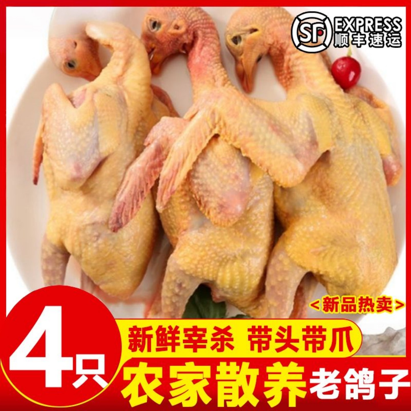 顺丰包邮新鲜鸽子肉乳鸽生鲜冷冻农家散养肉鸽土鸽子现杀老鸽子肉