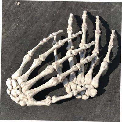 ScarydecotionsfHawkp