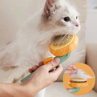 Pumpkin Cat Brush Comb For Pet Grooming Removes Loose Underl