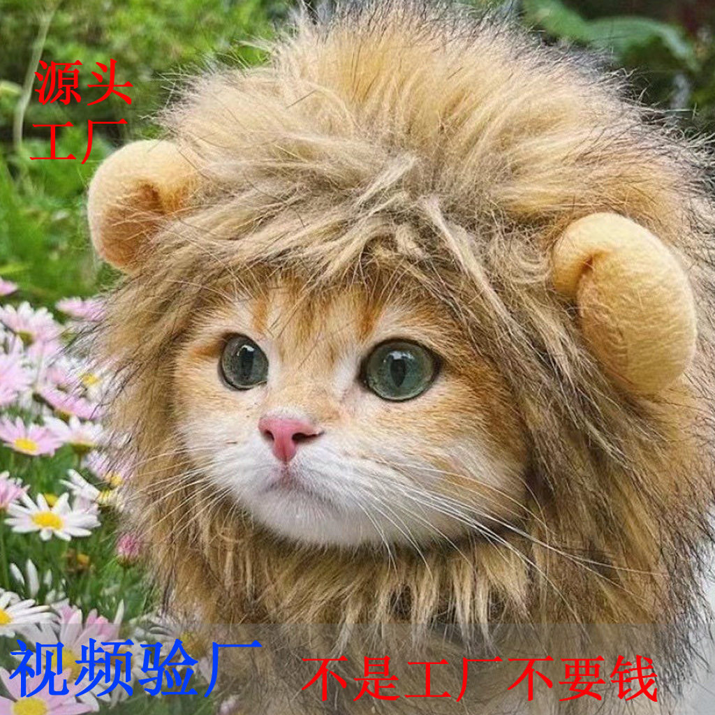 网红宠物猫狮子假发头套兔子耳朵搞怪头饰万圣节装扮帽子变身