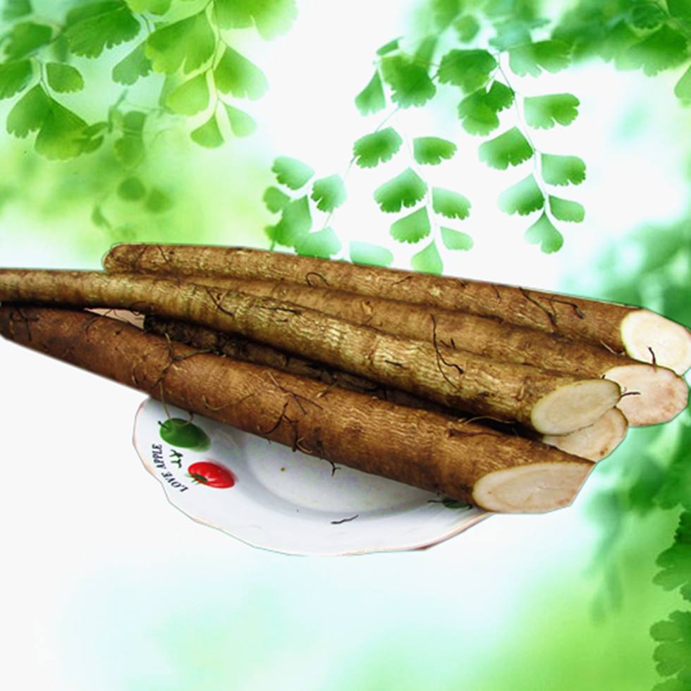 新鲜牛蒡牛蒡根牛膀牛旁牛蒡茶原料农家自种新鲜蔬菜现拨发货5斤|msdalam kategori daging perikanan/Buah-buahan segar dan sayur-sayuran/dimasak, sayur-sayuran segar/Vegetable Products, sayur-sayuran segar, lain - dari Buy2taobao.com untuk memberikan perkhidmatan ejen Taobao profesional membeli