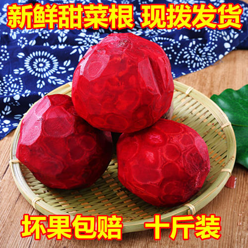 甜菜根新鲜甜菜头红焰菜红菜头紫菜头农产品蔬菜现拨发货10斤装 - 封面