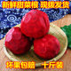 甜菜根新鲜甜菜头红焰菜红菜头紫菜头农产品蔬菜现拨发货10斤装