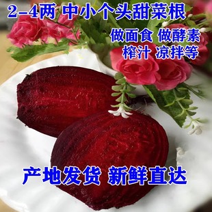 2024新鲜甜菜根现挖现拔红菜头紫菜头甜菜头农家自种纯红多汁五斤