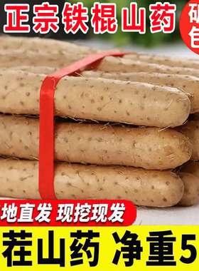 新鲜山药5斤装 正宗铁棍山药河南焦作垆土怀山药铁杆淮山药包邮