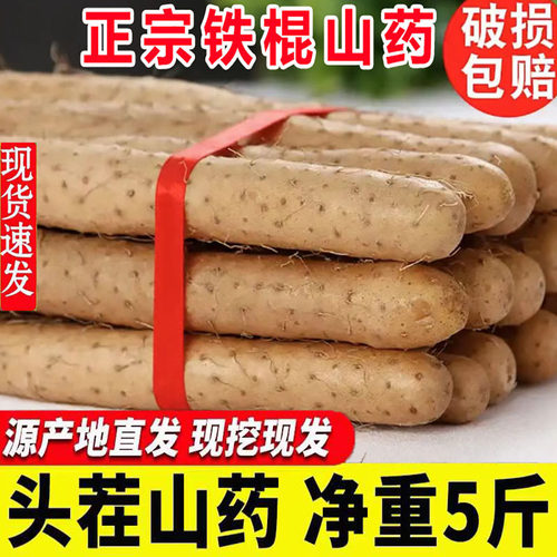 正宗铁棍山药垆土怀山药5斤装
