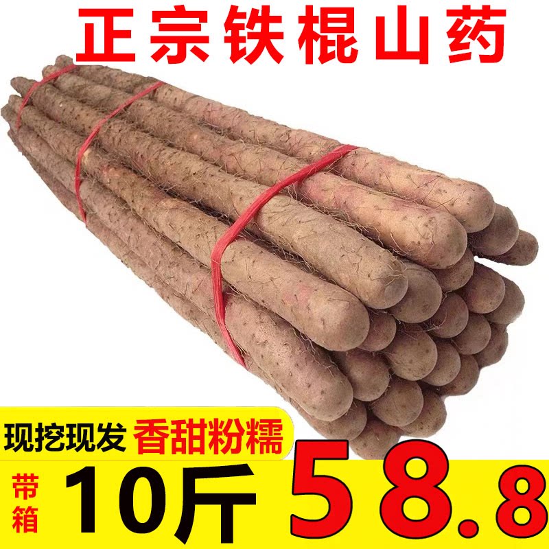 正宗焦作温县铁棍山药特产淮山药