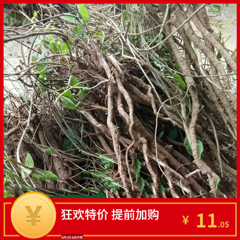 中药材大叶千斤拔种子野生一条根小叶千金拔种籽蔓性千斤拔中草药