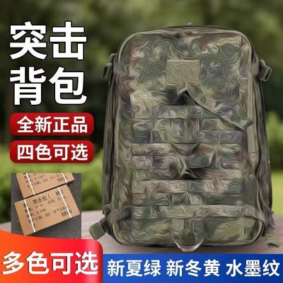 户外背囊新式EXP21-S作训包E19N战术双肩迷彩背包作训包背囊书包