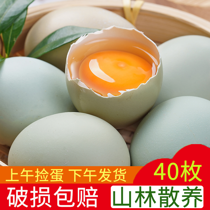 正宗绿壳天然40枚现捡现发