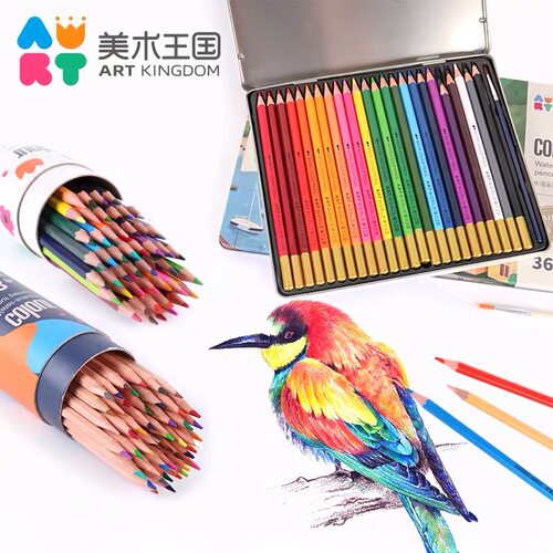 美术王国彩色铅笔彩铅画画笔成人