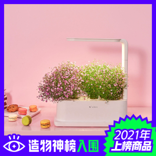 四维生态桌面智能花瓶育花机种植机室内鲜花养植花卉盆栽