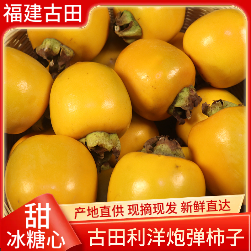 正宗福建古田利洋黄金炮弹柿子脆甜糖心柿当季新鲜水果现摘礼盒装