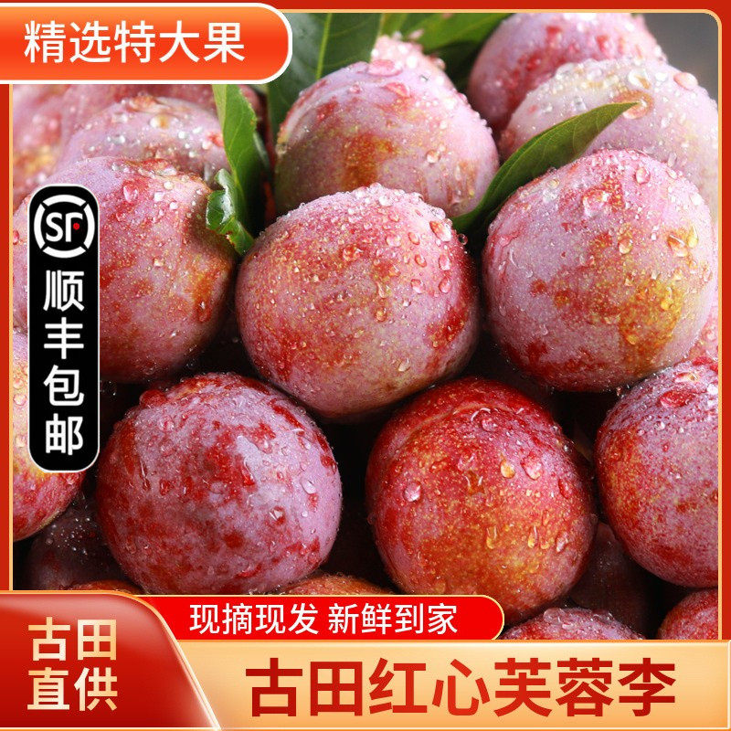 Fujian Furuta Red Li Furong San Hua Li Peach Off the bone Plums pregnant woman fresh fruit 10 Jin Gift Boxin the Aquatic meat/Fresh fruits and vegetables/Cooked , Fresh fruit , Plums  category - from Buy2taobao.com to provide professional Taobao agent buy service