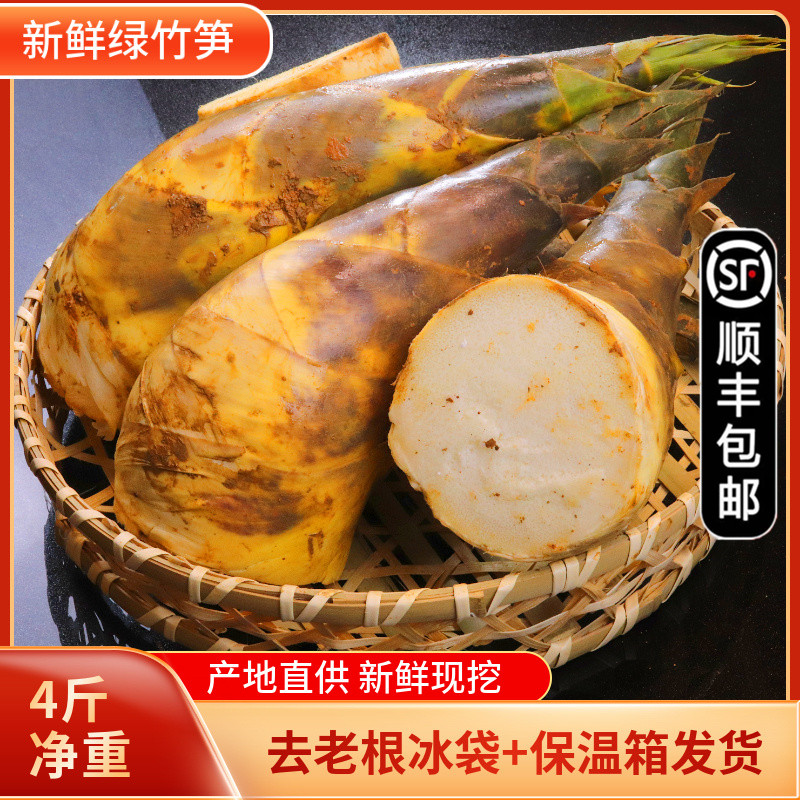 新鲜福建春夏带壳时令4斤绿竹笋