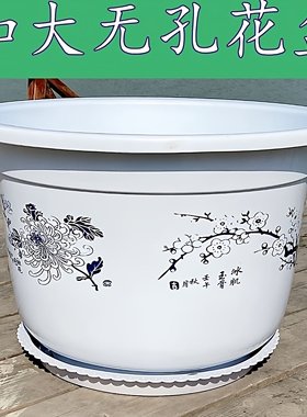 大型荷花盆无孔水培绿植睡莲盆栽特大塑料有孔果树圆形加厚仿陶瓷