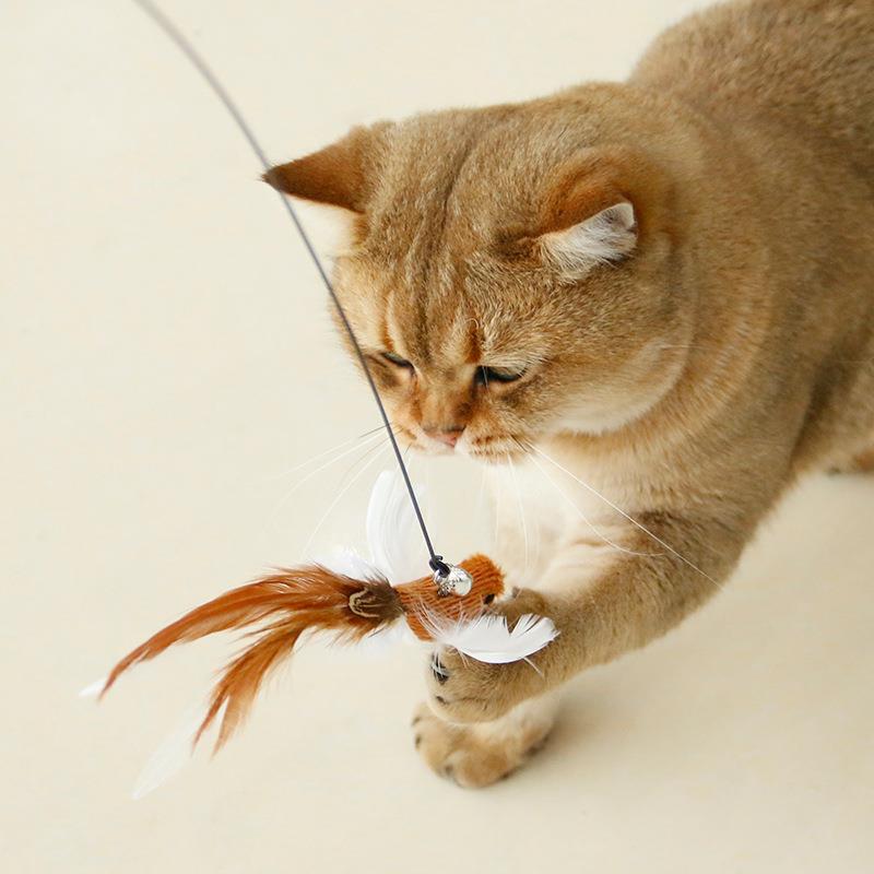 仿真小鸟钢丝长杆逗猫棒猫猫玩具