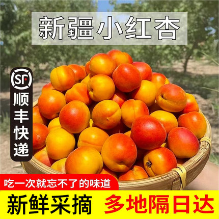 新疆小红杏新鲜当季水果4斤阿克苏吊干杏甜杏子胜小白杏空运包邮