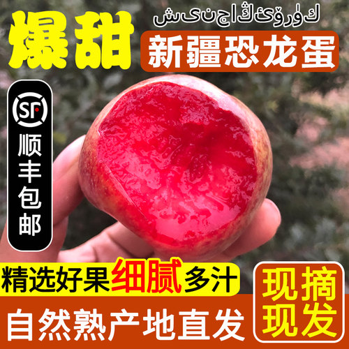 美国品种新疆恐龙蛋李子产地直发