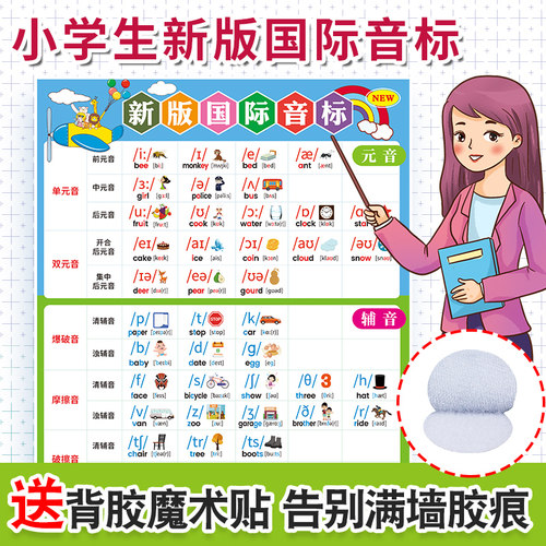48个英语国际音标挂图