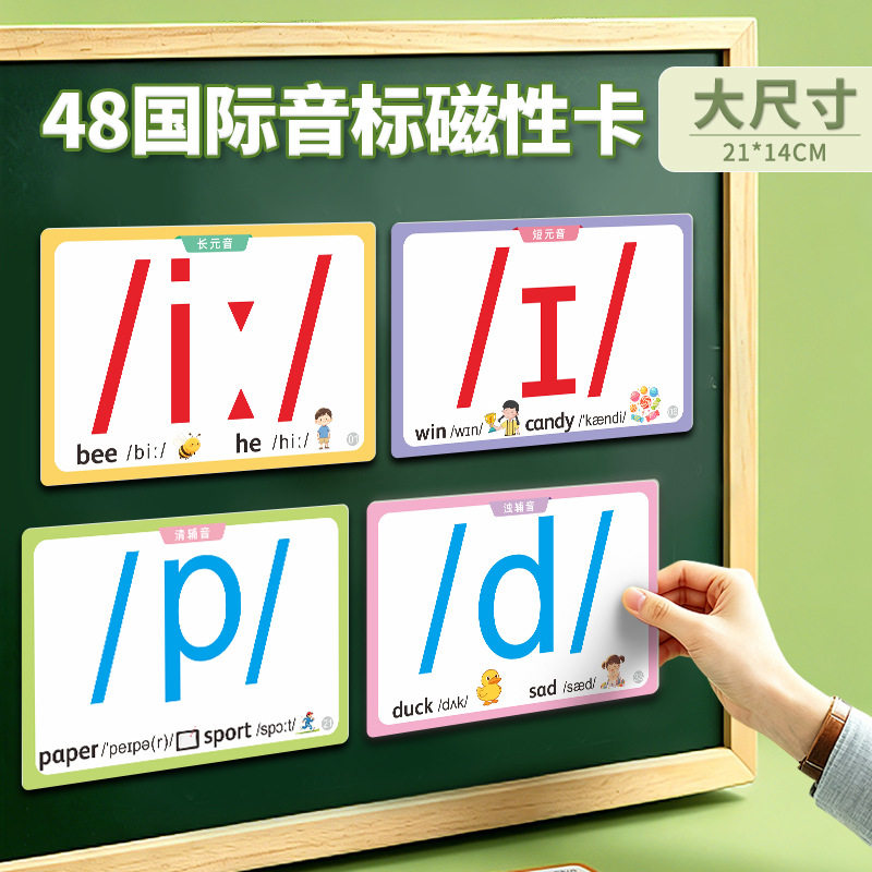 48个国际音标老师教学教具大卡片