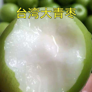 脆甜牛奶枣 台湾大青枣 枣树树苗 南方北方种植 枣树苗 当年结果