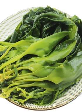 小海带苗5斤嫩新鲜霞浦