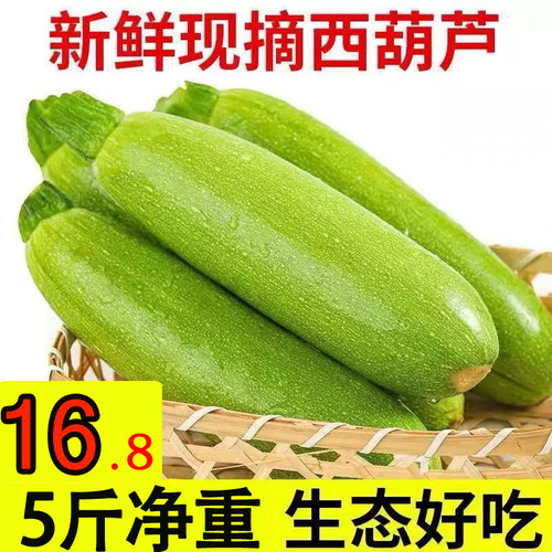 2026新鲜现摘西葫芦整箱发