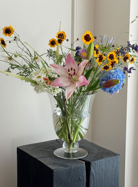 木工小舅 高透玻璃花瓶水培鲜花透明家居装饰ins风法式插花器摆件