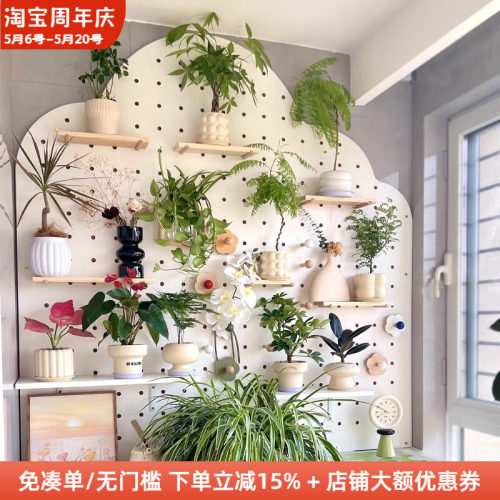 阳台洞洞板绿植墙花架