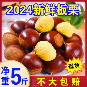 2024年正宗丹东板栗栗子软糯香甜新鲜现摘鲜栗子野生板栗生嫩大栗
