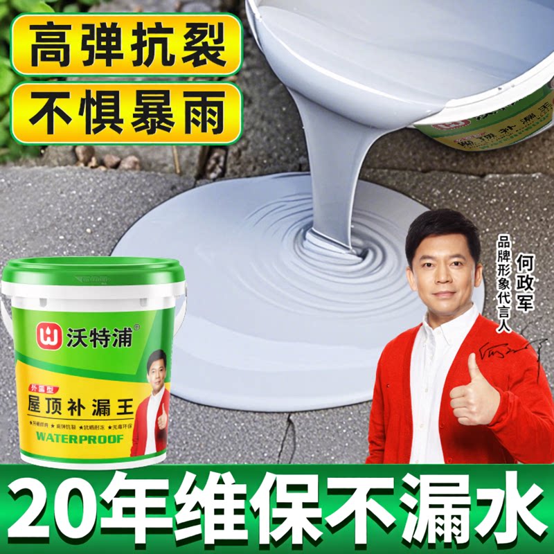 【暴雨不漏】屋顶防水补漏涂料图片