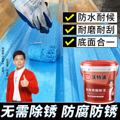 沃特浦除锈彩钢瓦专用一刷除锈
