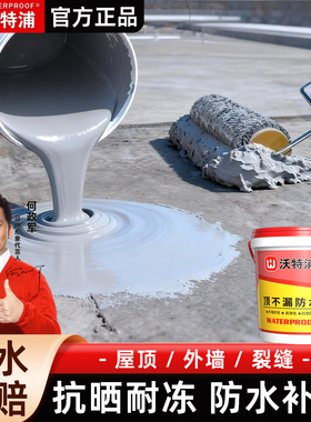 屋顶防水补漏材料渗水漏水房顶罅隙专用涂料楼顶平房补漏王堵漏王