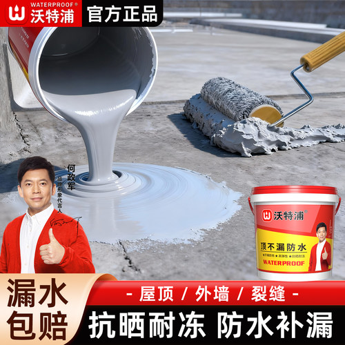 屋顶防水补漏材料堵漏王