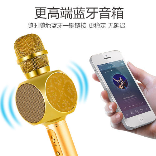 雅尔嘉户外无线成人心指话筒全能