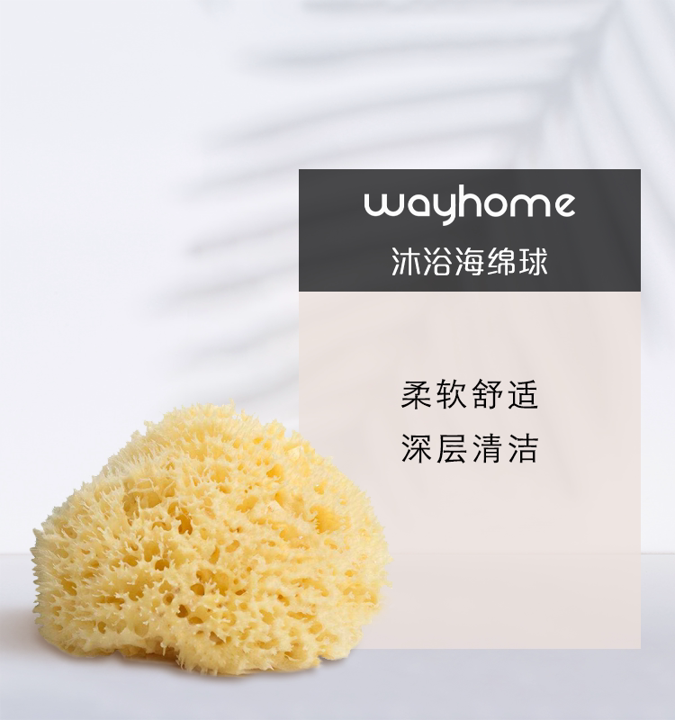 wayhome天然蜂窝希腊海绵敏感肌宝宝儿童沐浴洗脸柔软亲肤去角质