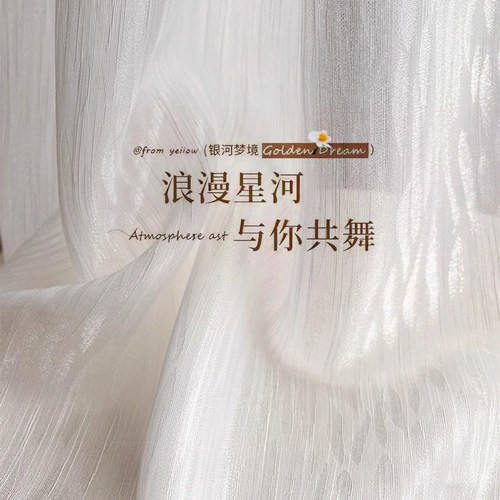 法式闪闪透光不透人白纱