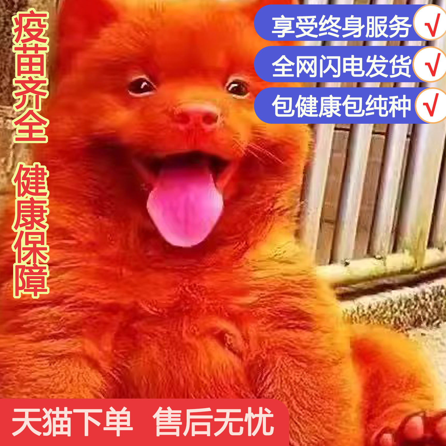 潮汕五红犬幼犬狗崽狗狗活体红色土狗土猎犬中华田园犬红幼犬幼崽