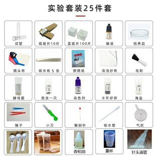 实验耗材显微镜生物教学实验配件大礼包动植物细胞标本切片载玻片标本永久切片标本耗材生物实验