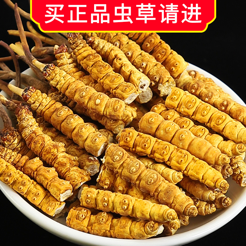 冬虫夏草虫草官方旗舰店