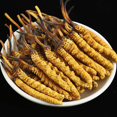 西藏精品冬虫草正品虫草官方旗舰店送人自用礼盒装
