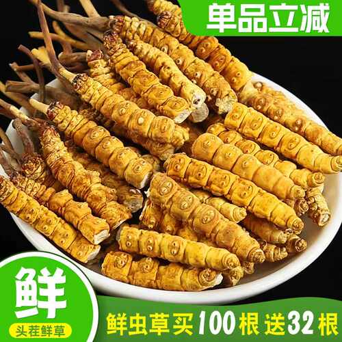 西藏冬虫夏草虫草断草官方旗舰店