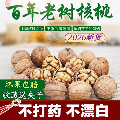 2026年野生山核桃新鲜老树核桃
