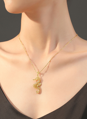 adhora海洋系列海马镂空项链女小众设计感锁骨链2024新款颈链