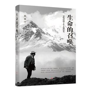 生命的召唤 作者：林强 正版书籍小说畅销书  四川文艺出版社