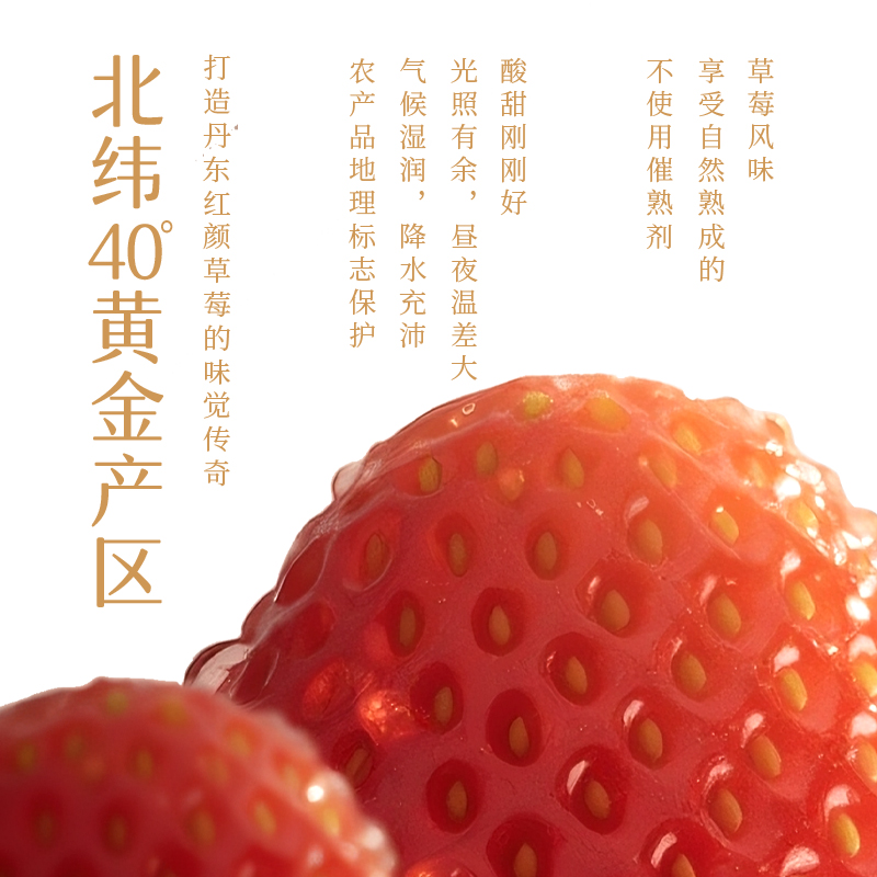 认养一头牛草莓燕麦风味酸乳酸奶200g*10盒【kl】