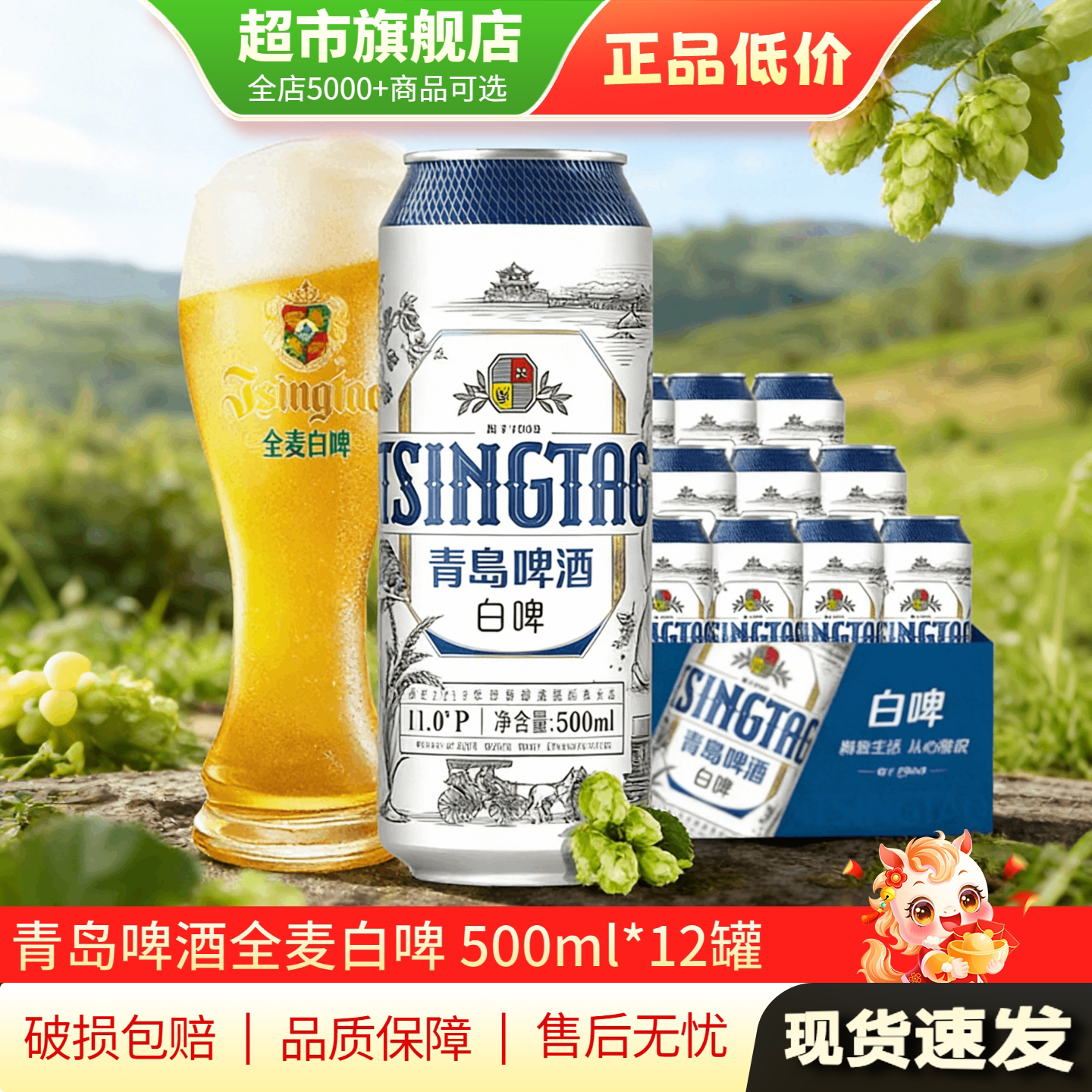 U先 青岛啤酒经典白啤500ml*12罐装全麦白啤饮品整箱旗舰店正品TG