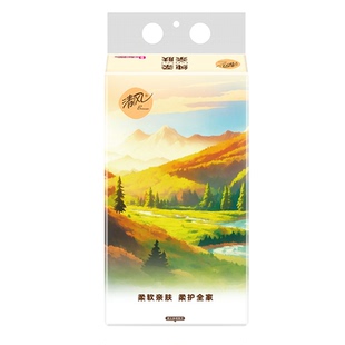 抽纸大包1000张 清风悬挂式